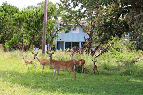 Water'S Edge Retreat Home image 19